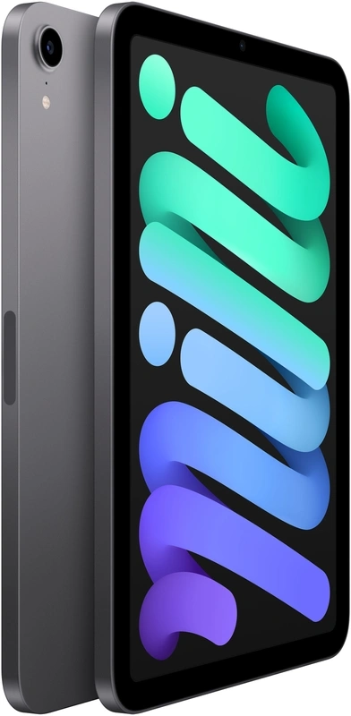 iPad mini 6 256GB WiFi & 4G Space Grau 2021