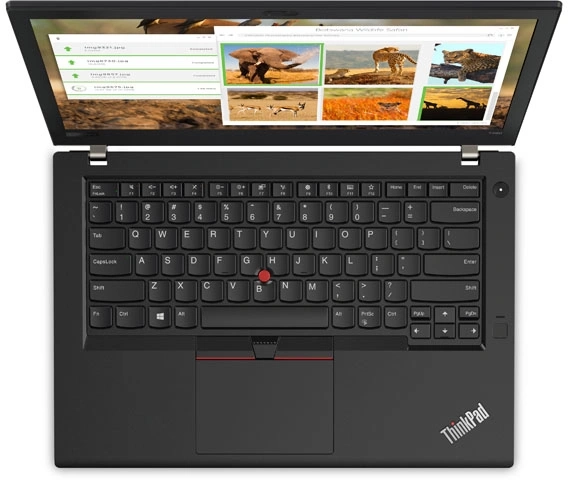 Lenovo - Thinkpad L14 G2 - Intel QuadCore i5 1135G7 - 16GB Ram - SSD 256GB - 14" (35,56 cm) - Windows 11 Pro - Duitstalig toetsenbord